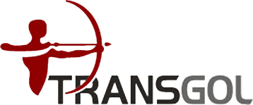 logo transgol home software